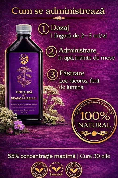 Tinctură de Brânca Ursului – Vitalitate, Fertilitate și Echilibru Hormonal | 500ml