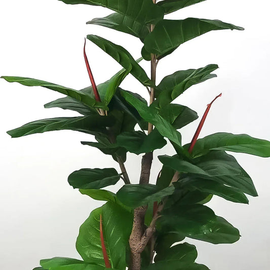 Planta artificiala, Ficus fara ghiveci, D4286, 165cm, verde
