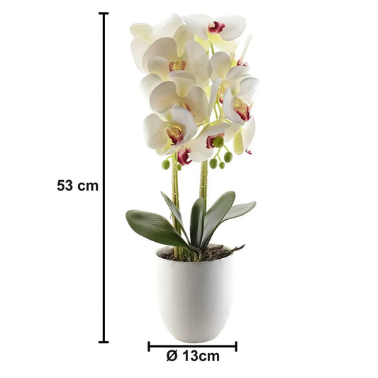 Orhidee cu aspect natural in ghiveci ceramic, 53 cm, Naimeed D4846, Alb