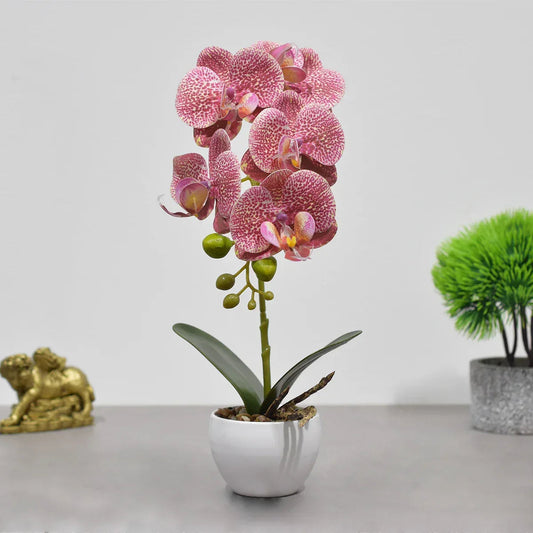 Orhidee cu aspect natural in ghiveci ceramic, 33 cm, Naimeed D4851, RozGalben