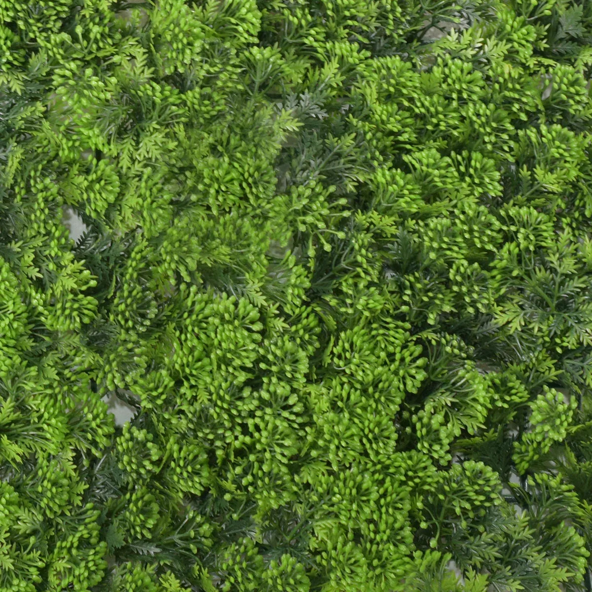 Panou verde din plante artificiale, Naimeed D4970