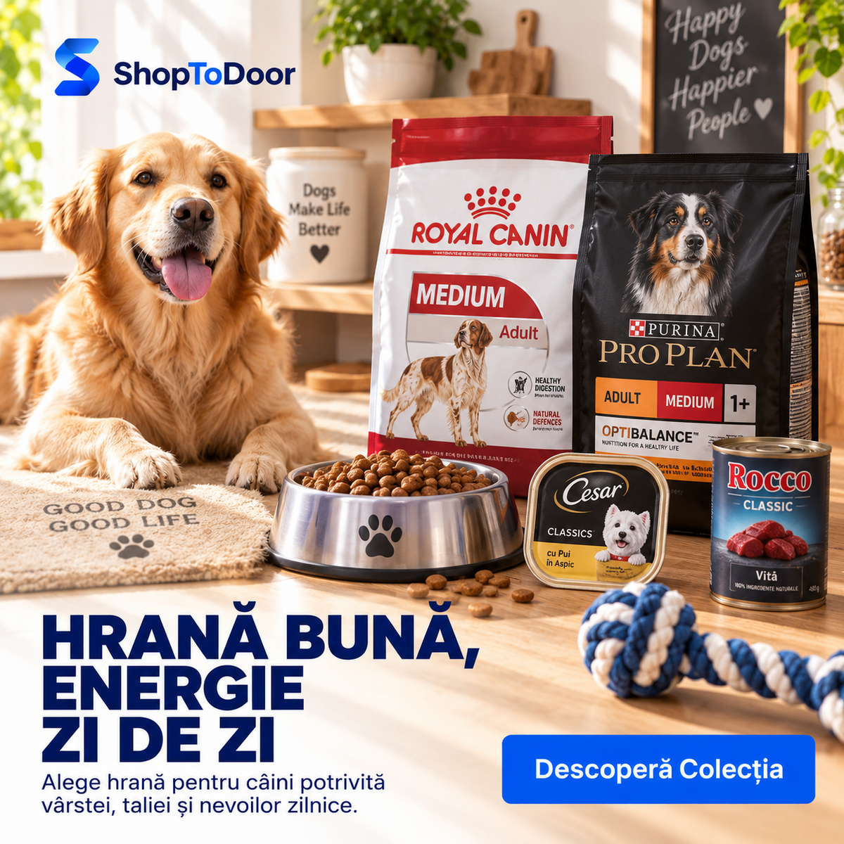Hrană Câini - ShopToDoor