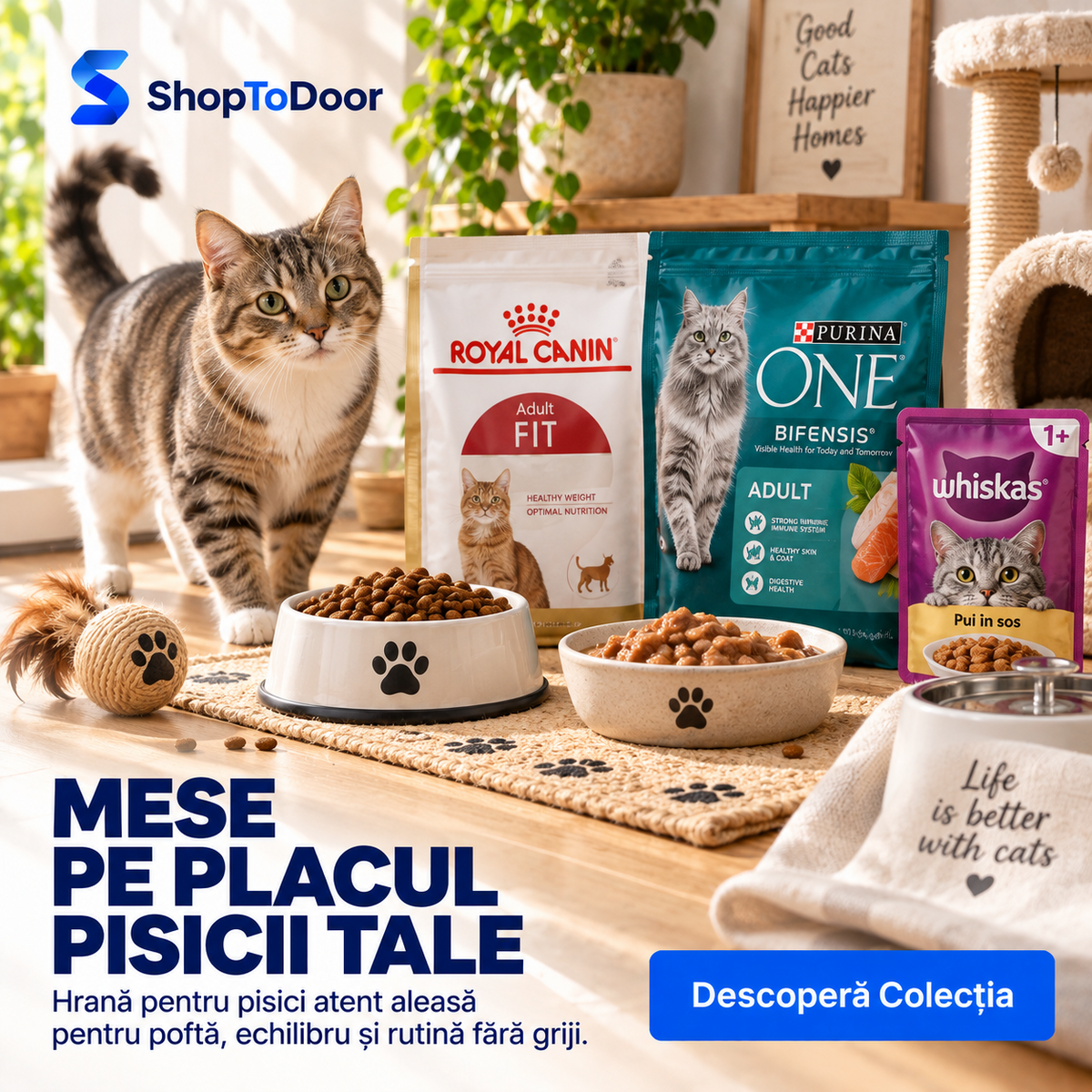 Hrană Pisici - ShopToDoor