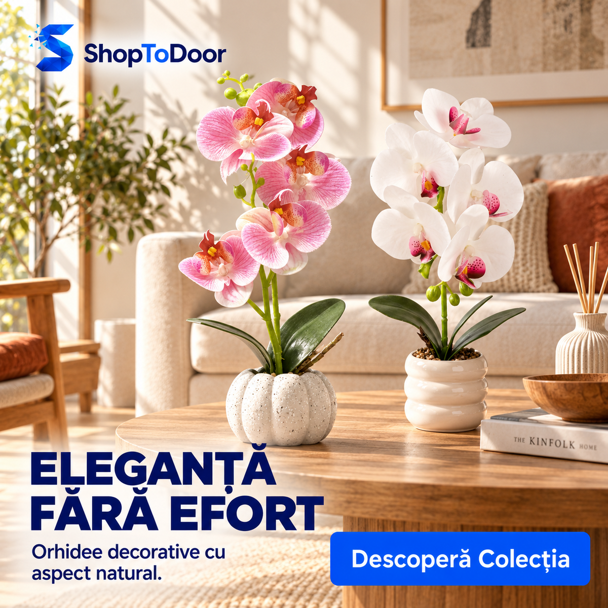 Orhidee Artificiale – ShopToDoor