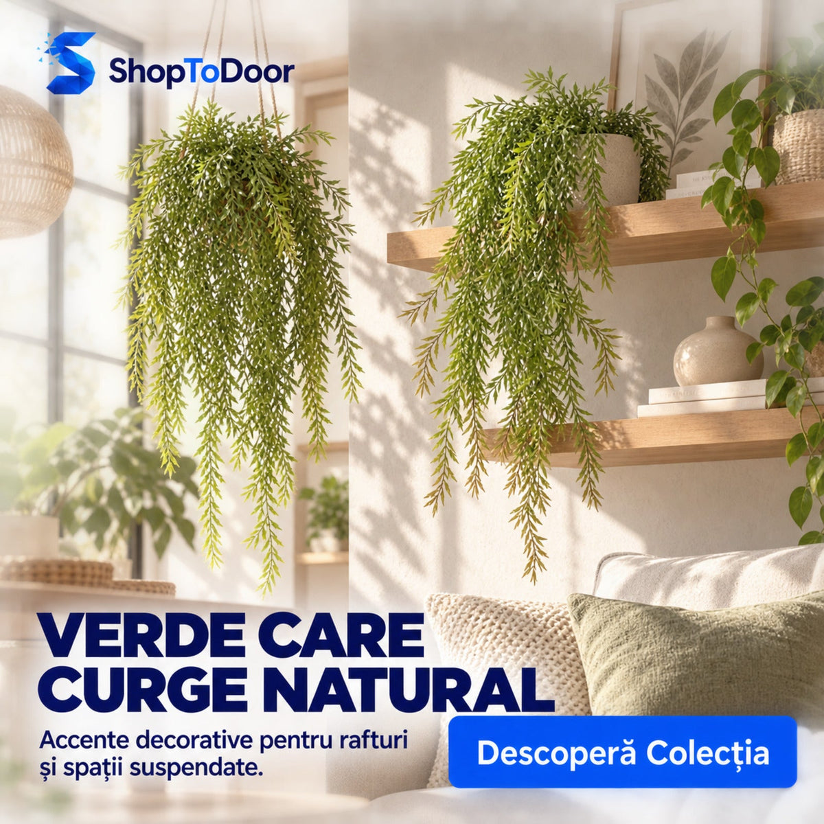 Card colecție Plante Artificiale Curgătoare