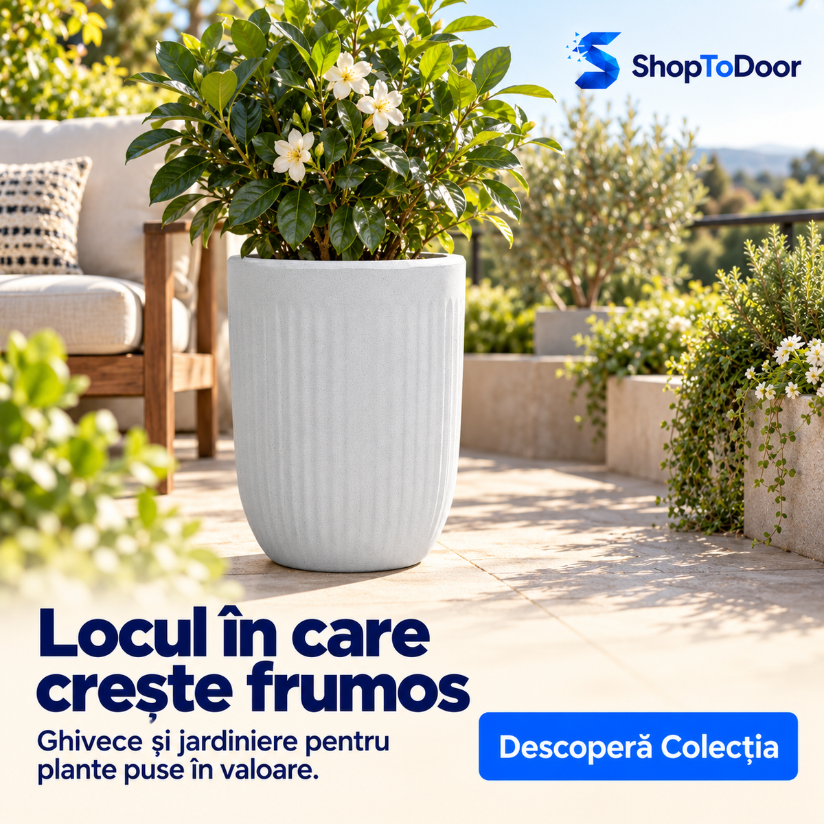 Ghivece si Jardiniere – ShopToDoor