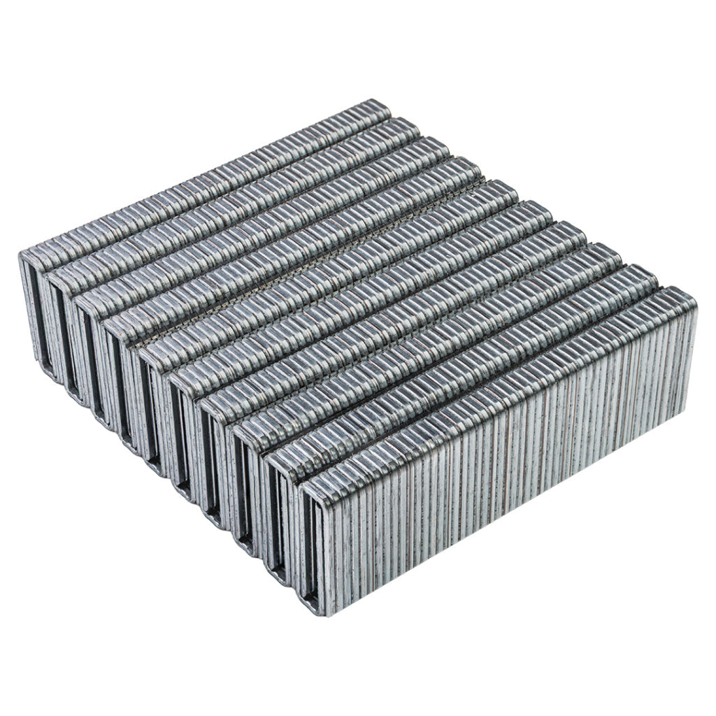 Raider Set 1000 de capse galvanizate tip 55 1.08mm 14-25mm pentru capsator electric
