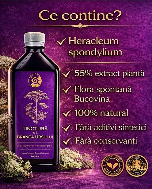 Tinctură de Brânca Ursului – Vitalitate, Fertilitate și Echilibru Hormonal | 500ml