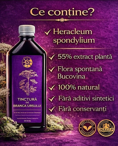 Tinctură de Brânca Ursului – Vitalitate, Fertilitate și Echilibru Hormonal | 500ml