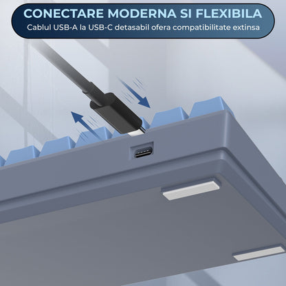 Tastatura Mecanica Timebox, 61 Taste, Keycaps PBT, Switch-uri Precise, Albastru