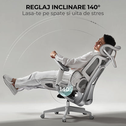 Scaun Ergonomic Timebox, Mesh Tetiera 4D Brate 4D Suport Picioare, Gri