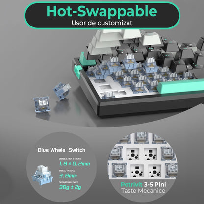Tastatura Mecanica Gaming Timebox, Blue Switch, 75%, Hot-Swap, TKL, Negru