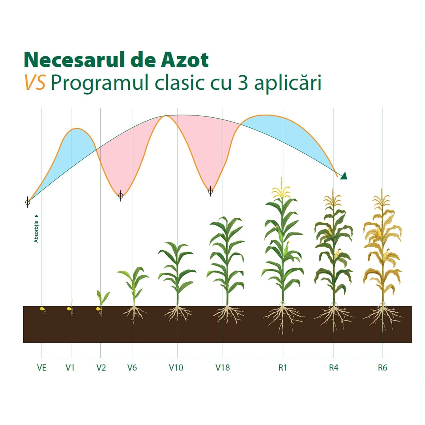 Ingrasamant cu Azot si Extracte Humice - N-Durro 46, 46% N, Efect 100 Zile, 4 kg