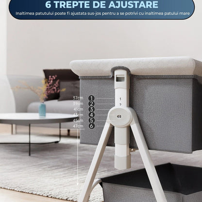 Set Timebox, Nou-Nascut: Patut Pliabil si Portabil, Maro