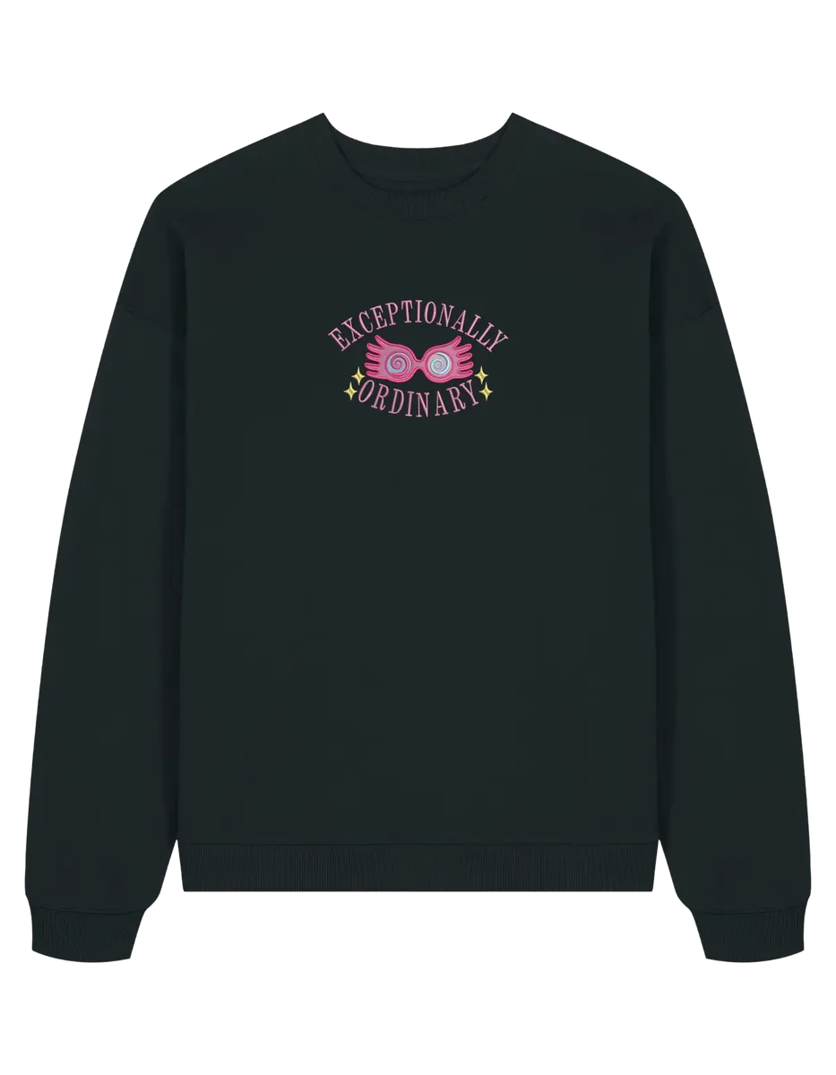 Ordinary sweatshirt Harry Potter