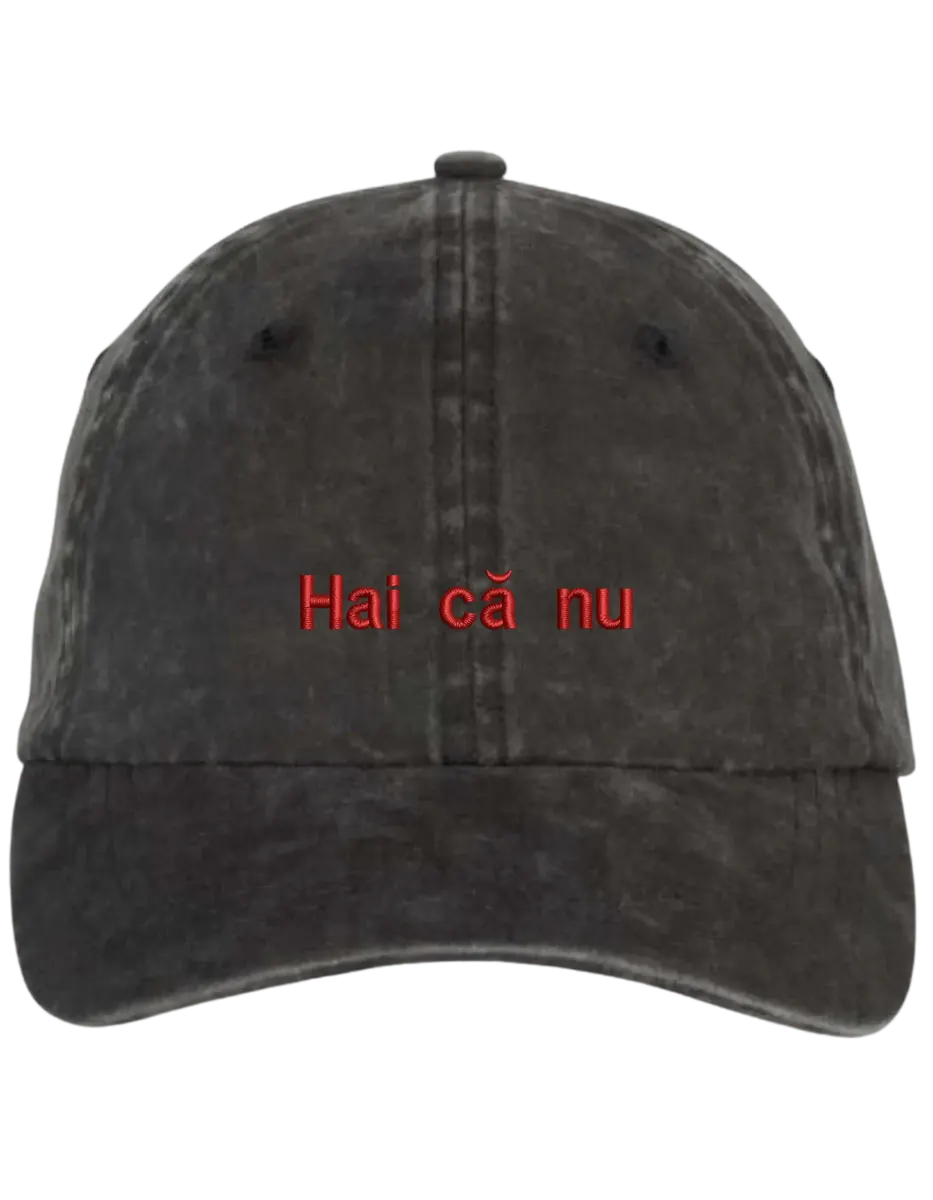 Hai ca nu sapca brodata