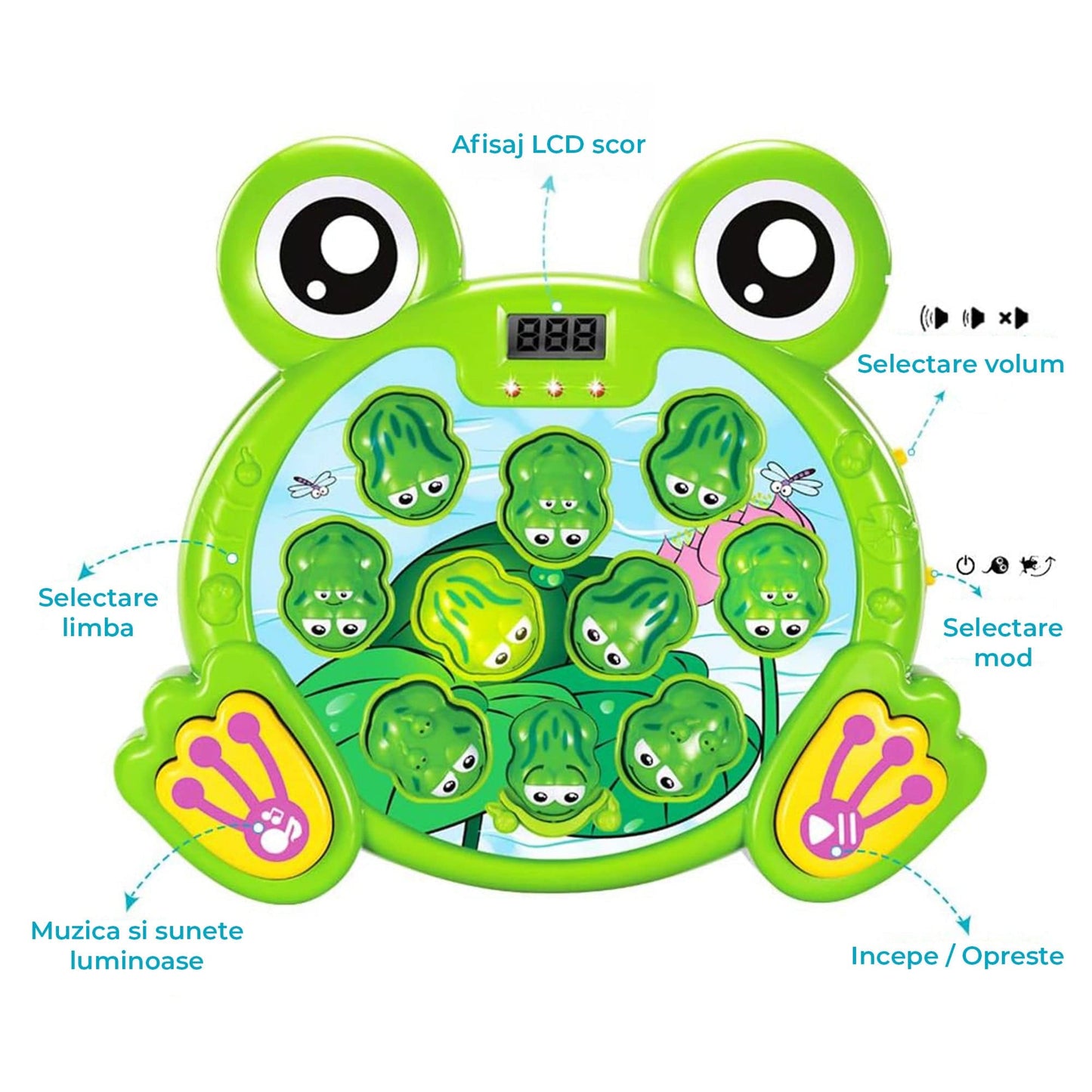 Joc Interactiv Timebox, "Loveste Broscuta" cu 2 Ciocanele, Verde