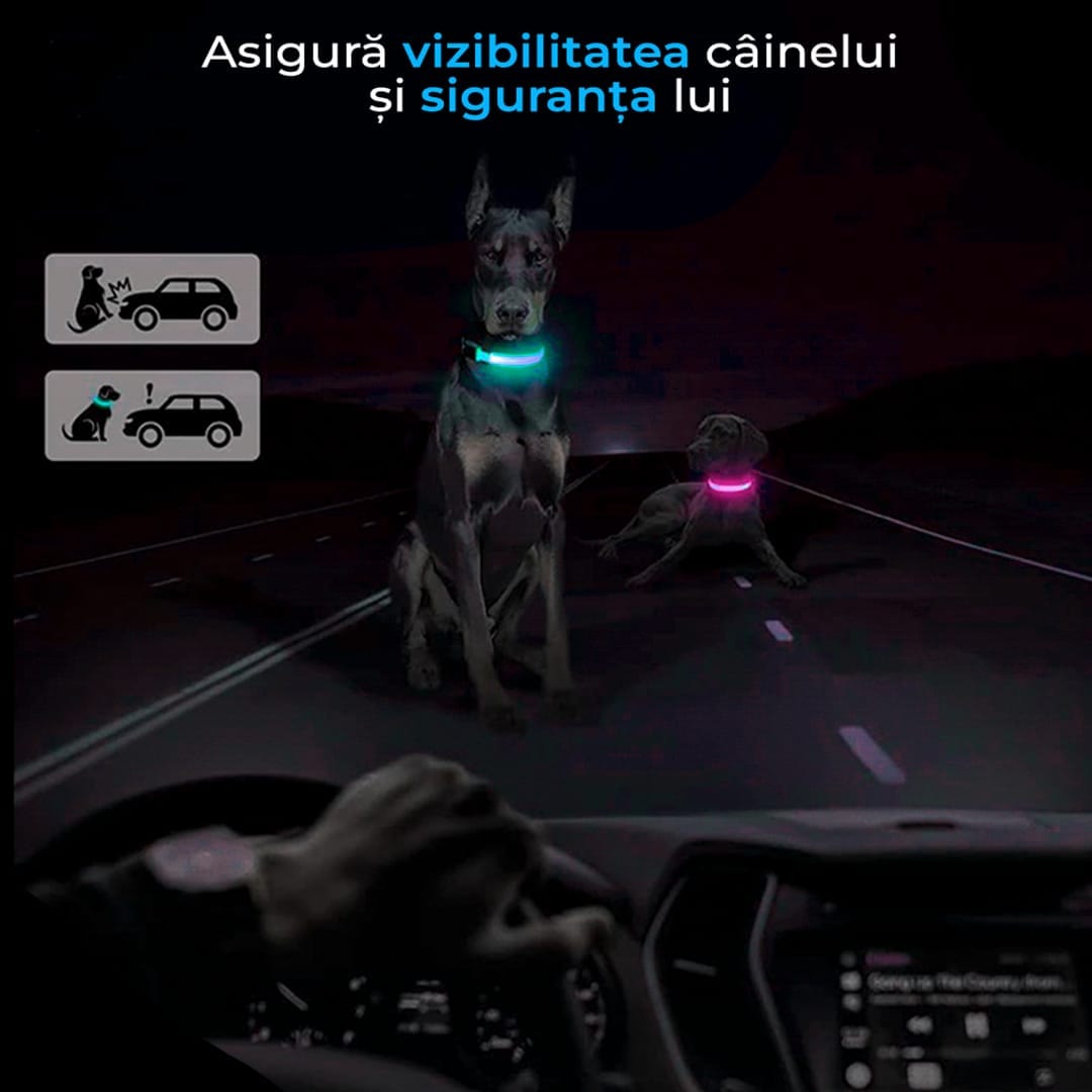 Zgarda pentru caini, cu banda LED, reflectorizanta cu 3 moduri de iluminare, Roz