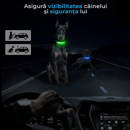 Zgarda pentru caini, cu banda LED, reflectorizanta cu 3 moduri de iluminare
