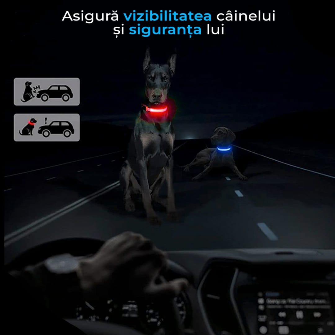 Zgarda pentru caini, cu banda LED, reflectorizanta cu 3 moduri de iluminare