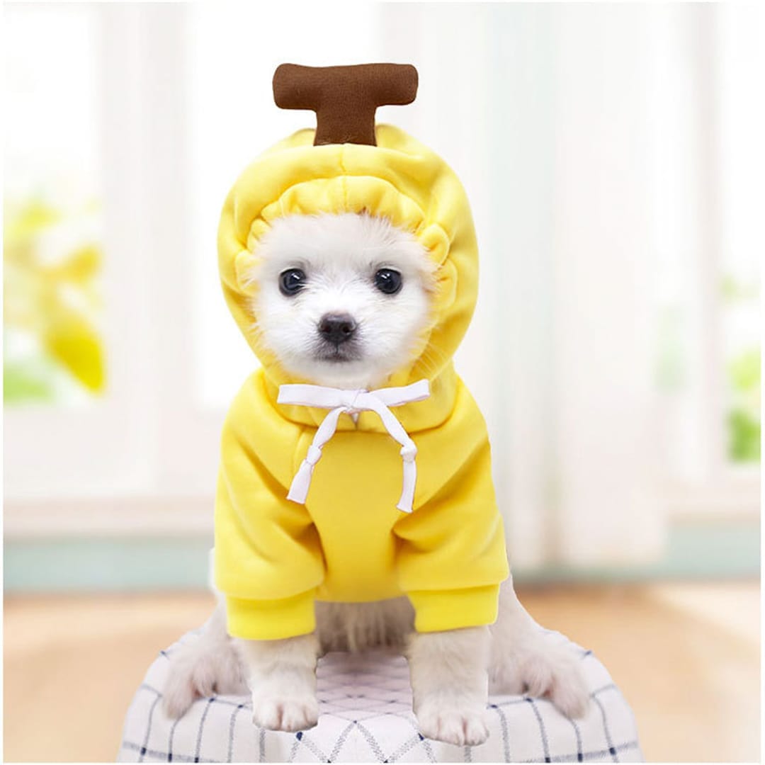 Haina pentru caine, tip Hanorac animale de companie, model Banana - marimea M