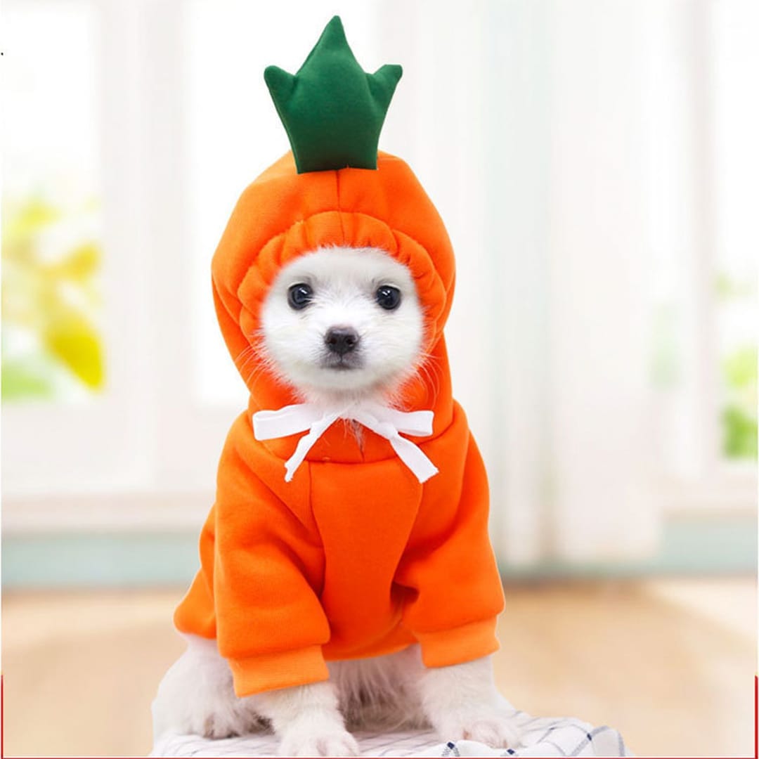 Haina pentru caine, tip Hanorac animale de companie, model Morcov - marimea M