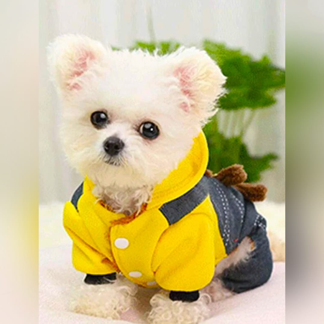 Haina pentru caine, tip Hanorac animale de companie
