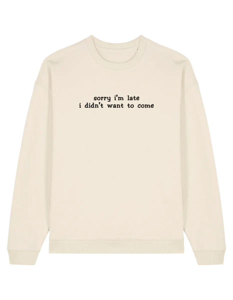 Late sweatshirt mesaje
