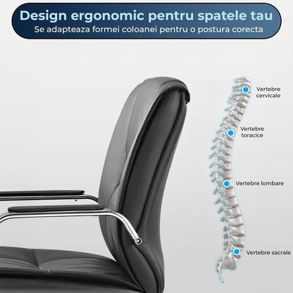 Scaun ergonomic de birou Timebox, 360°, home office sau spatii comerciale, Negru