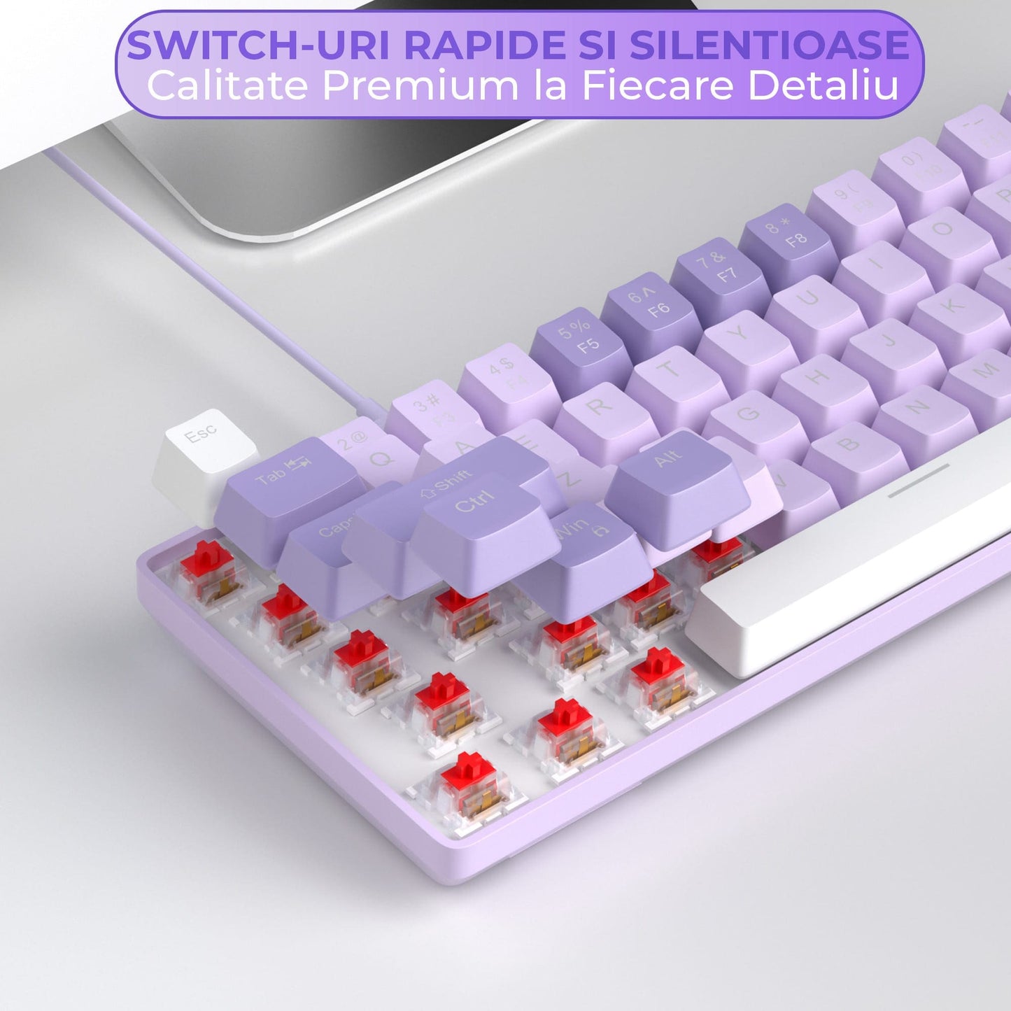 Tastatura Mecanica Gaming Timebox, Red Switch, 60%, Hot-Swap, Violet