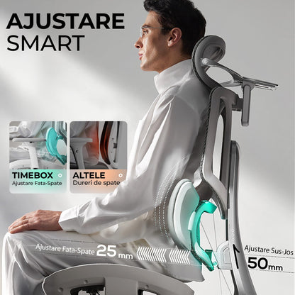 Scaun Ergonomic Timebox, Mesh Tetiera 4D Brate 4D Suport Picioare, Gri