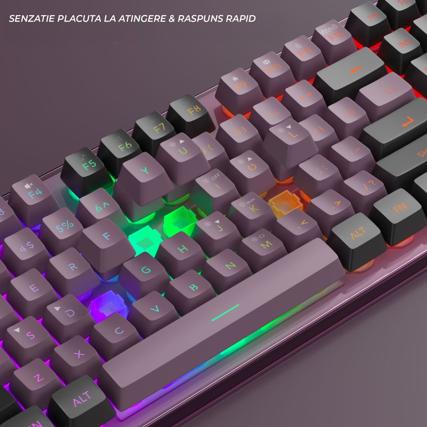 Kit Gaming Timebox, 8 Culori RGB, Lumina Reglabilă, Ergonomic, Mov