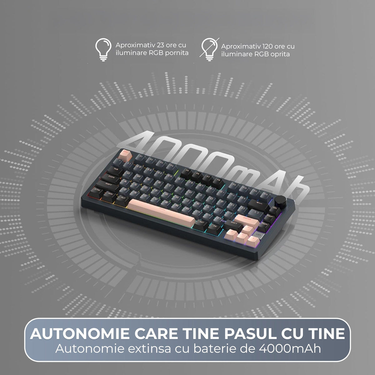 Tastatura Mecanica Wireless 75% Timebox, Hot-Swap, Gasket, Negru