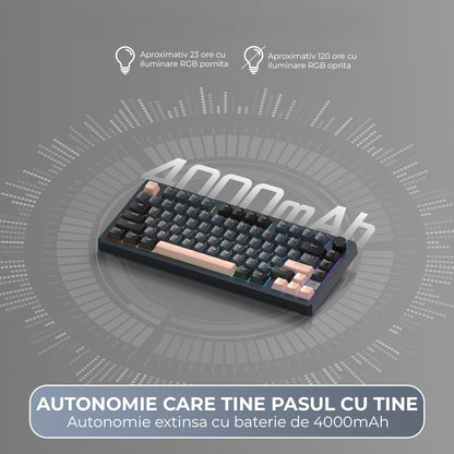 Tastatura Mecanica Wireless 75% Timebox, Hot-Swap, Gasket, Negru