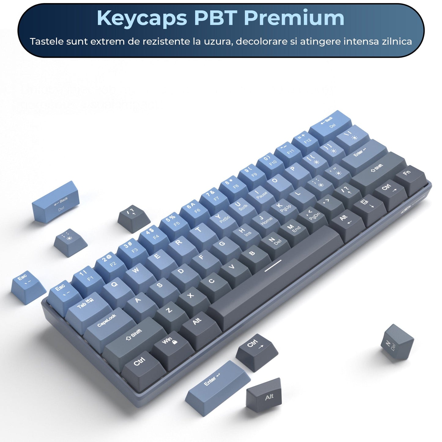 Tastatura Mecanica Timebox, 61 Taste, Keycaps PBT, Switch-uri Precise, Albastru