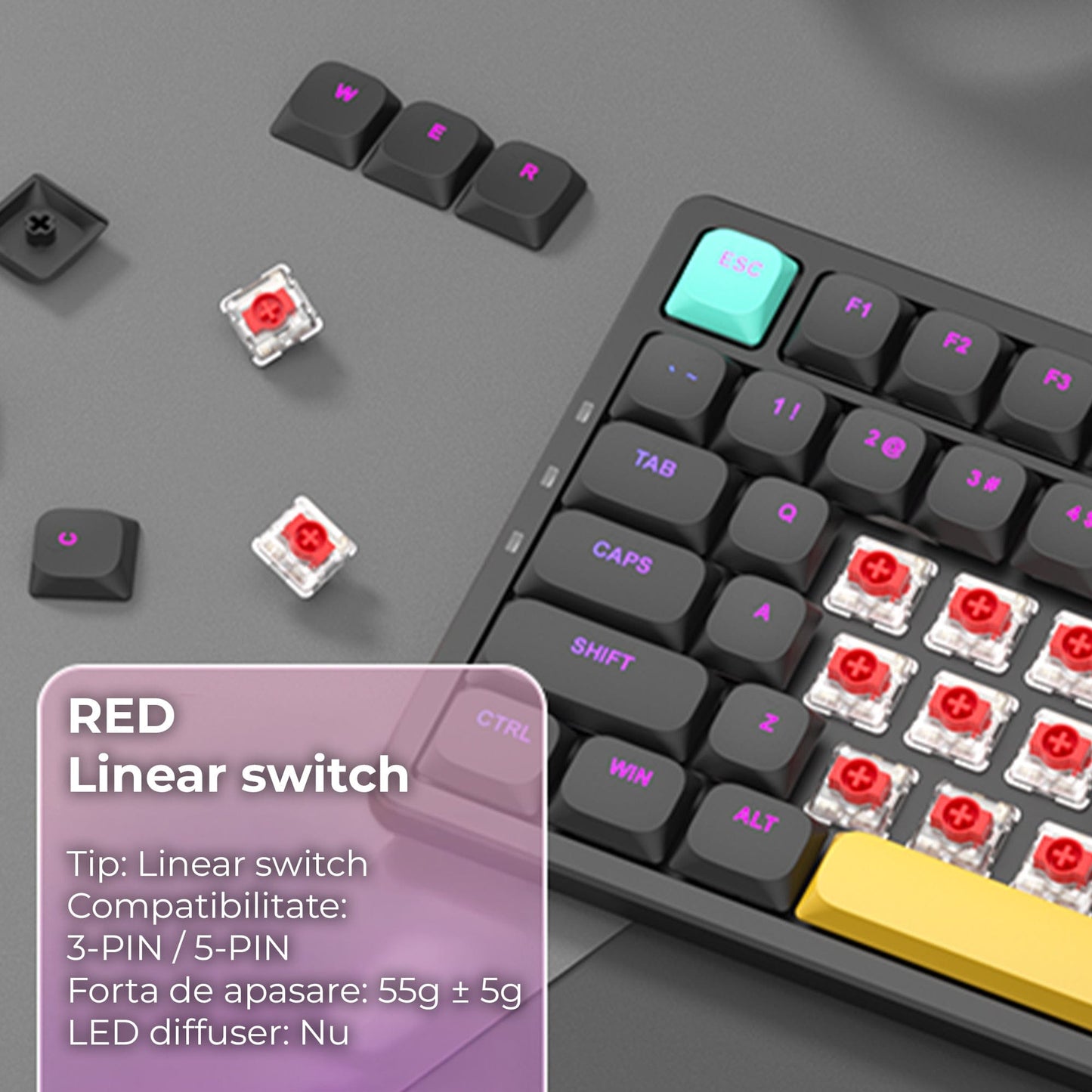 Tastatura Mecanica Ultra-Slim Wireless 75% Timebox, RGB, Low-Profile