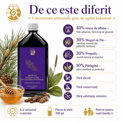 Leac Bătrânesc pentru Tuse și Bronșii – Sirop Muguri de Pin, Pătlagină și Propolis | 500ml
