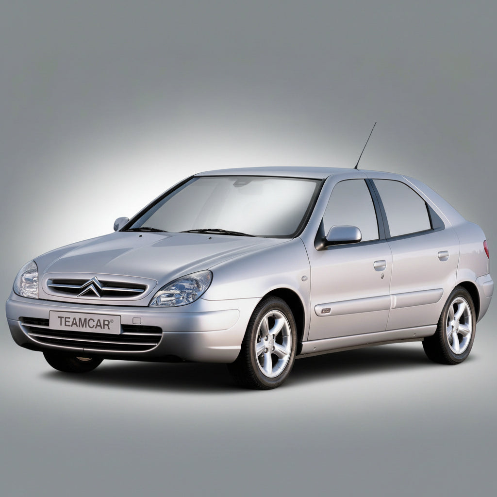 Stergatoare Citroën Xsara (1997–2006) TeamCar® Flat – Set fata