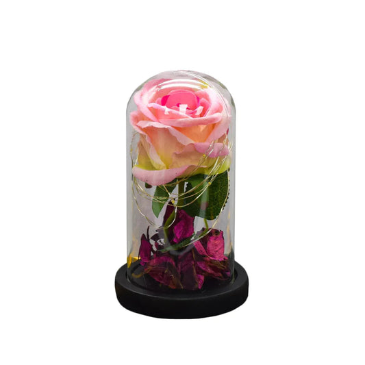 Aranjament floral in cupola de sticla, lumina Led, D4013, Roz