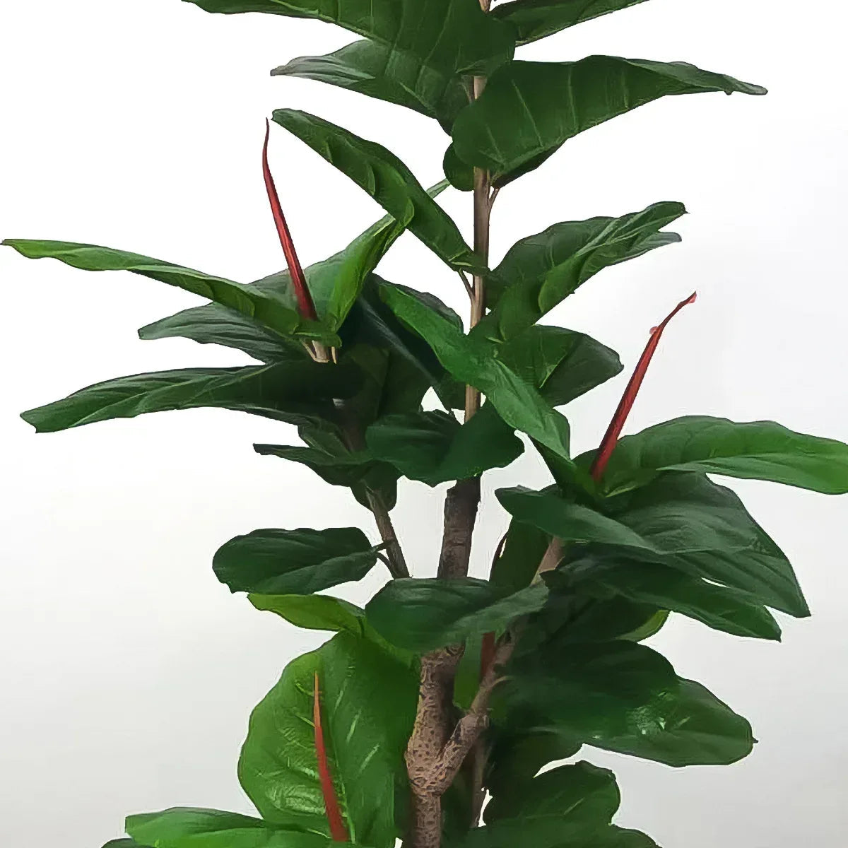 Planta artificiala, Ficus fara ghiveci, D4286, 165cm, verde