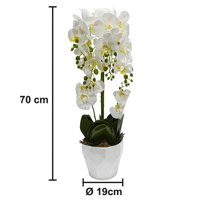 Orhidee cu aspect natural in ghiveci ceramic, 70 cm, Naimeed D4842, Alb