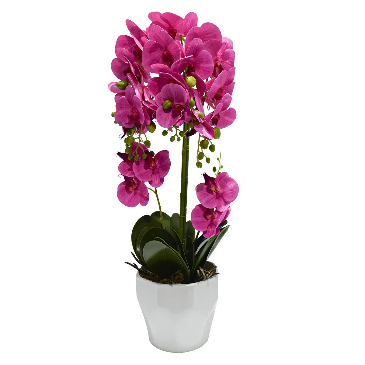 Orhidee cu aspect natural in ghiveci ceramic, 70 cm, Naimeed D4842, Roz
