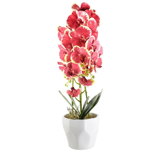 Orhidee cu aspect natural in ghiveci ceramic, 70 cm, Naimeed D4843, Rosu