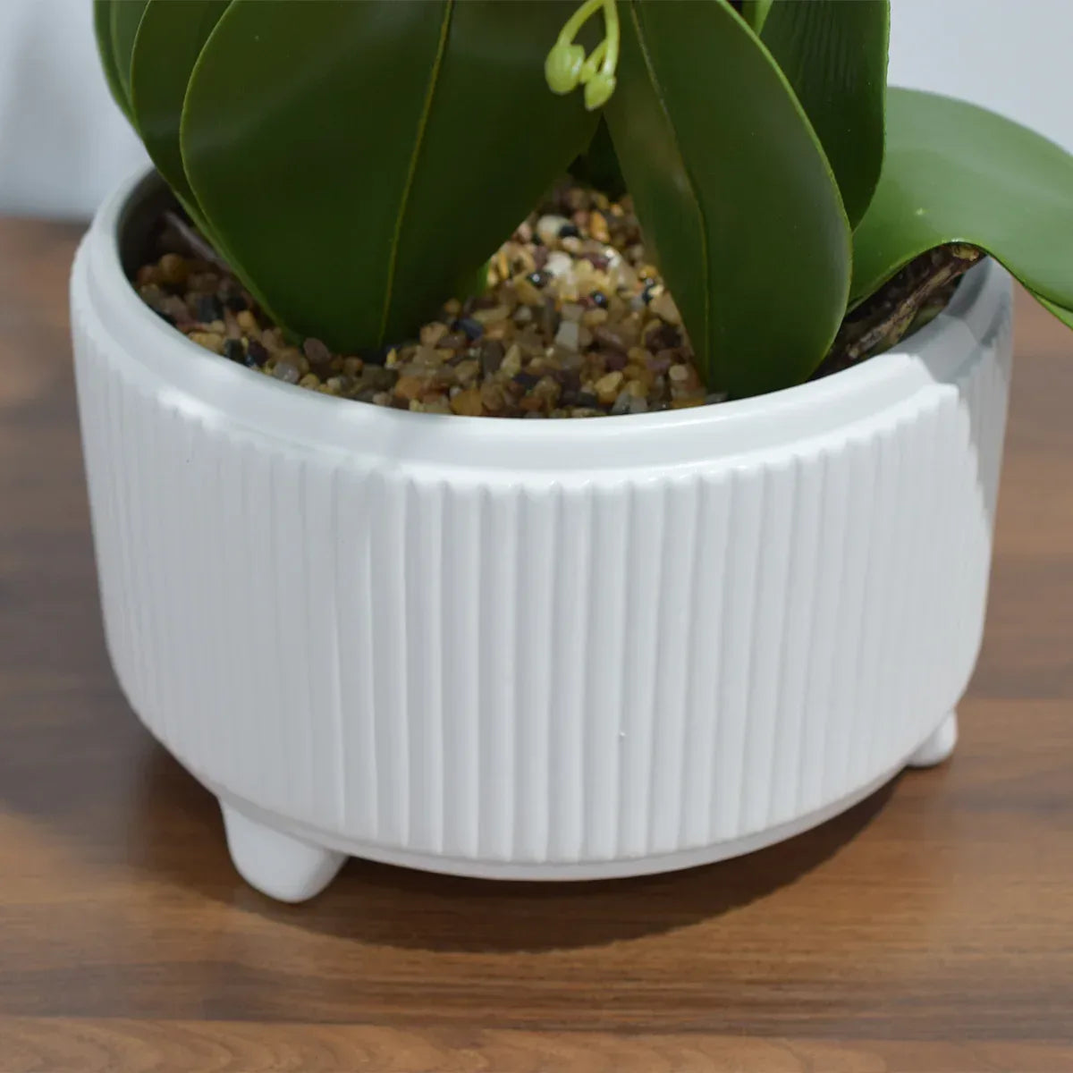 Orhidee cu aspect natural in ghiveci ceramic, 71 cm, Naimeed D4844, Roz