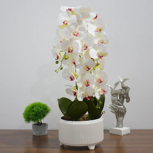 Orhidee cu aspect natural in ghiveci ceramic, 71 cm, Naimeed D4844, Alb