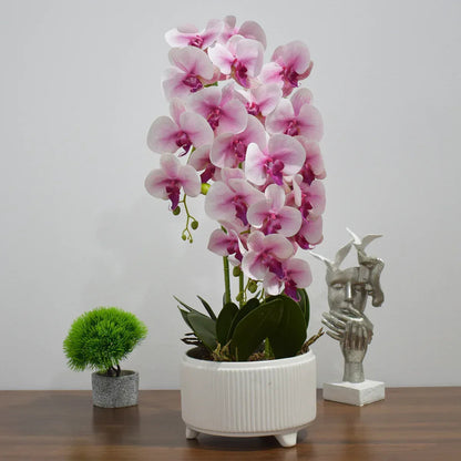 Orhidee cu aspect natural in ghiveci ceramic, 71 cm, Naimeed D4844, Roz
