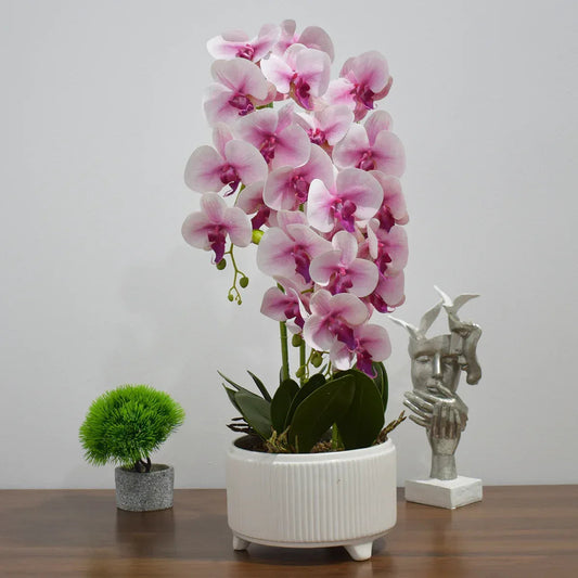 Orhidee cu aspect natural in ghiveci ceramic, 71 cm, Naimeed D4844, Roz