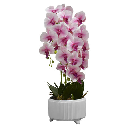 Orhidee cu aspect natural in ghiveci ceramic, 71 cm, Naimeed D4844, Roz