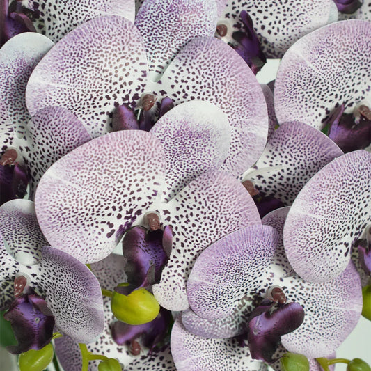 Orhidee cu aspect natural in ghiveci ceramic, 60 cm, Naimeed D4845, Amethyst