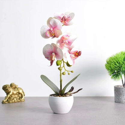 Orhidee cu aspect natural in ghiveci ceramic, 33 cm, Naimeed D4851, Roz